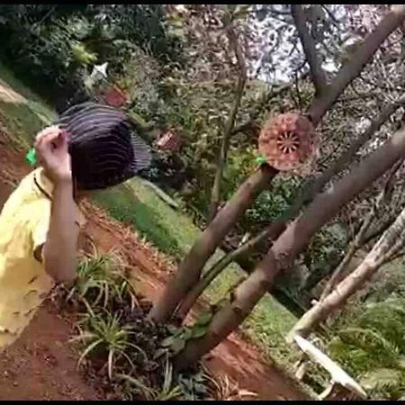 Lobville Homestay 卡尔贾特 外观 照片